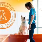 Dogtopia of Albuquerque West - photo 5