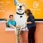 Dogtopia of Albuquerque West - photo 8