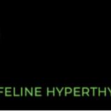 NuCat Feline Hyperthyroid Clinic - Cannabis Clinics in Brandon