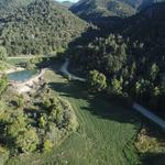 Blue Pine Ranch - photo 3