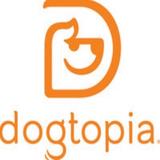 Dogtopia of Arlington-Shirlington