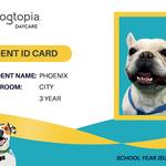 Dogtopia of Bethesda - photo 6