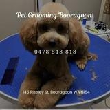 Pet Grooming Booragoon - Dog Grooming, Cat Grooming - Pet Stores in Booragoon