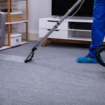 Home Bright Carpet + Floor Care - photo 1