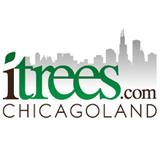 Itrees - Home & Garden in Morristown