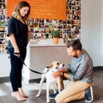 Dogtopia of Bellevue - photo 7