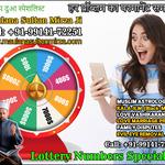 MAULANA SULTAN MIRZA - photo 8