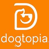 Dogtopia of Boca Raton - Dog Walkers in Boca Raton