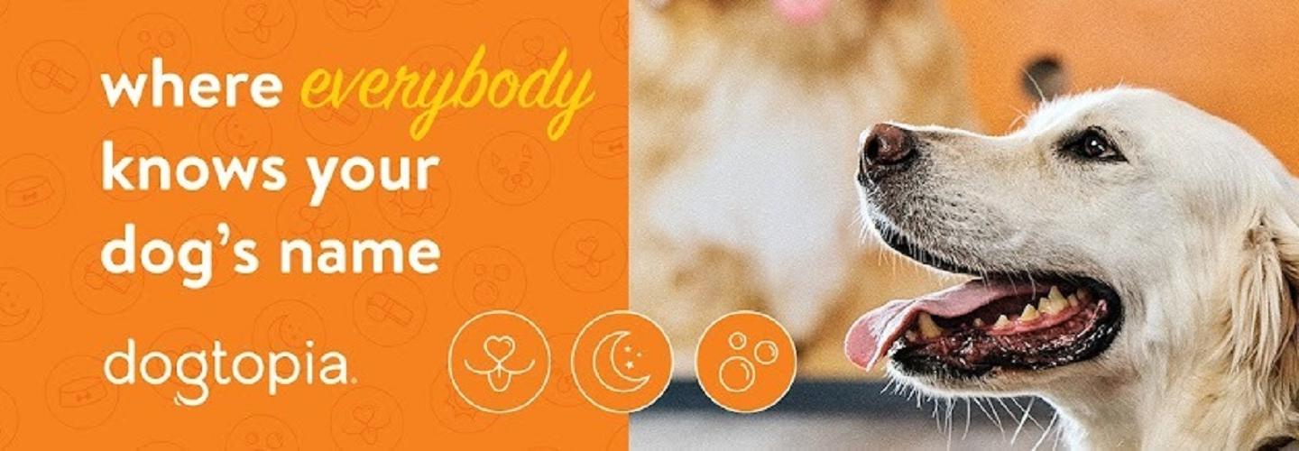 Dogtopia of Boca Raton cover photo