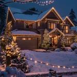 Richmond Landscape Lighting ZenGlow - photo 2