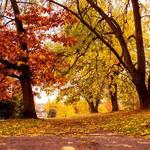 Krupp Moving & Storage - Canton OH Movers - photo 10