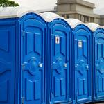 Pelican Pumping - photo 2