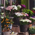 Flowers Mart - photo 2