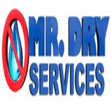 Mr. Dry Services