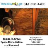 TampaBayMold.net - Home Services in Tampa