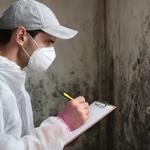 Jupiter Mold Removal - photo 5