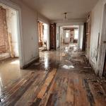 Jupiter Mold Removal - photo 6