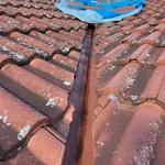 Australian Premium Painters - photo 10