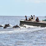 Tenerife Excursions 365 - photo 2