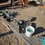 Pest Patrol Geelong - photo 5