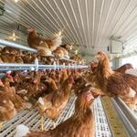 Michiana Equipment LLC - photo 1