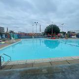 Nemo Swim School in Dallas - Swimming Lessons/Schools in Dallas