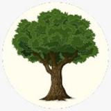 Rohnert Park Tree Services - Tree Services in Rohnert Park