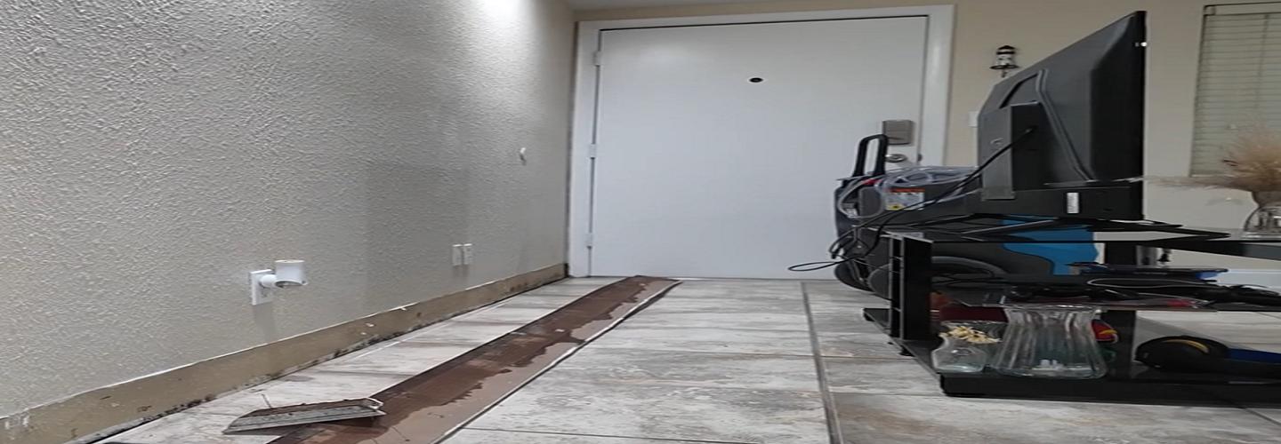 Dry Out Daddy Restoration – Clearwater cover photo