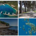 The DMC Collective - photo 5