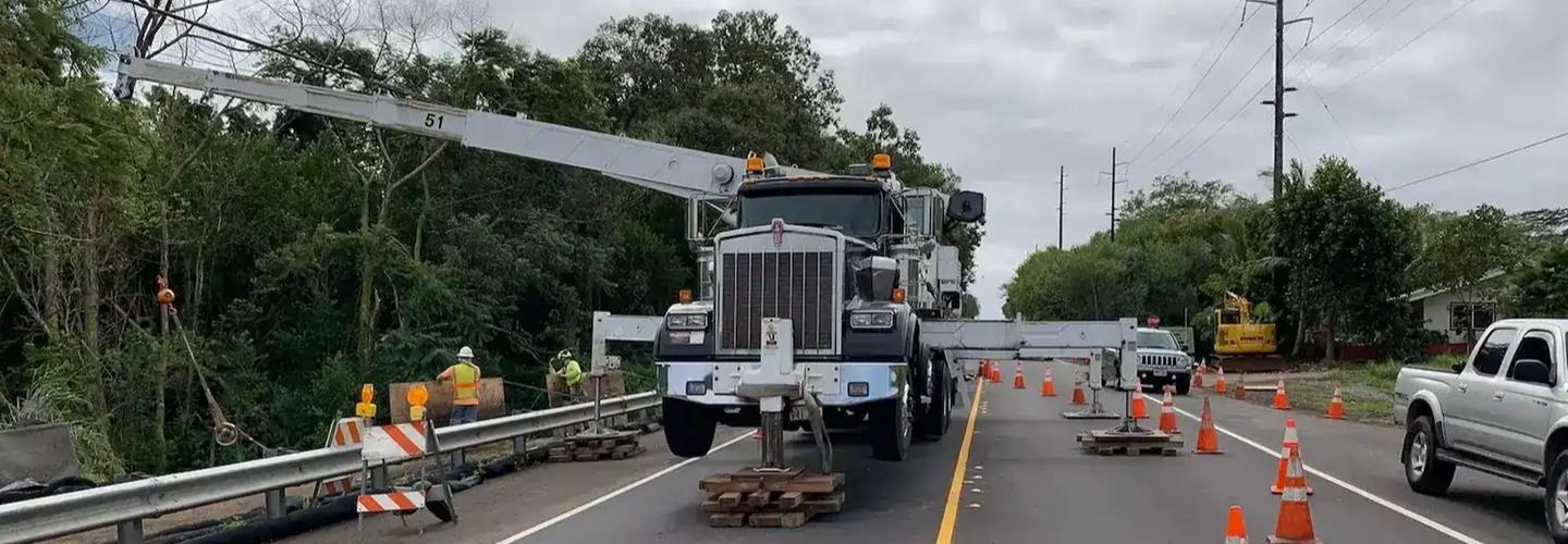 Arborist Services LLC cover photo