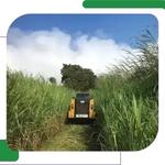 Arborist Services LLC - photo 2