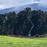 Arborist Services LLC - photo 3