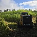 Arborist Services LLC - photo 4