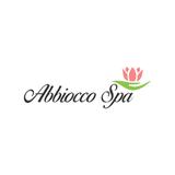 Abbiocco spa		 - Beauty & Spas in Delhi