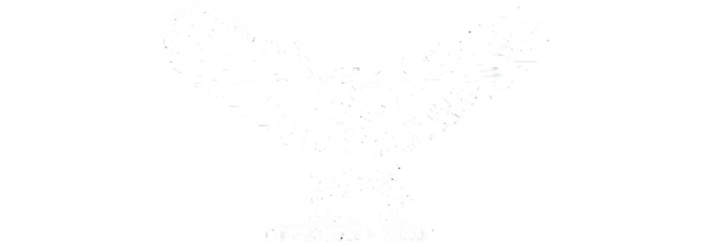 Division Arms, LLC cover photo