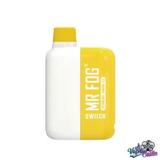 Mr Fog Switch 5500 - Shopping in Fort Washington