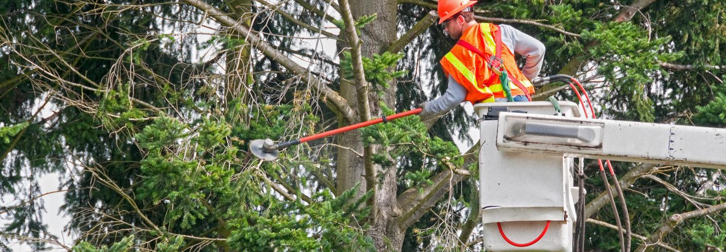 Holt Tree Services cover photo