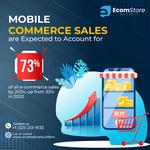 Ecom Store Builders - Expert Online Store Setup - photo 4