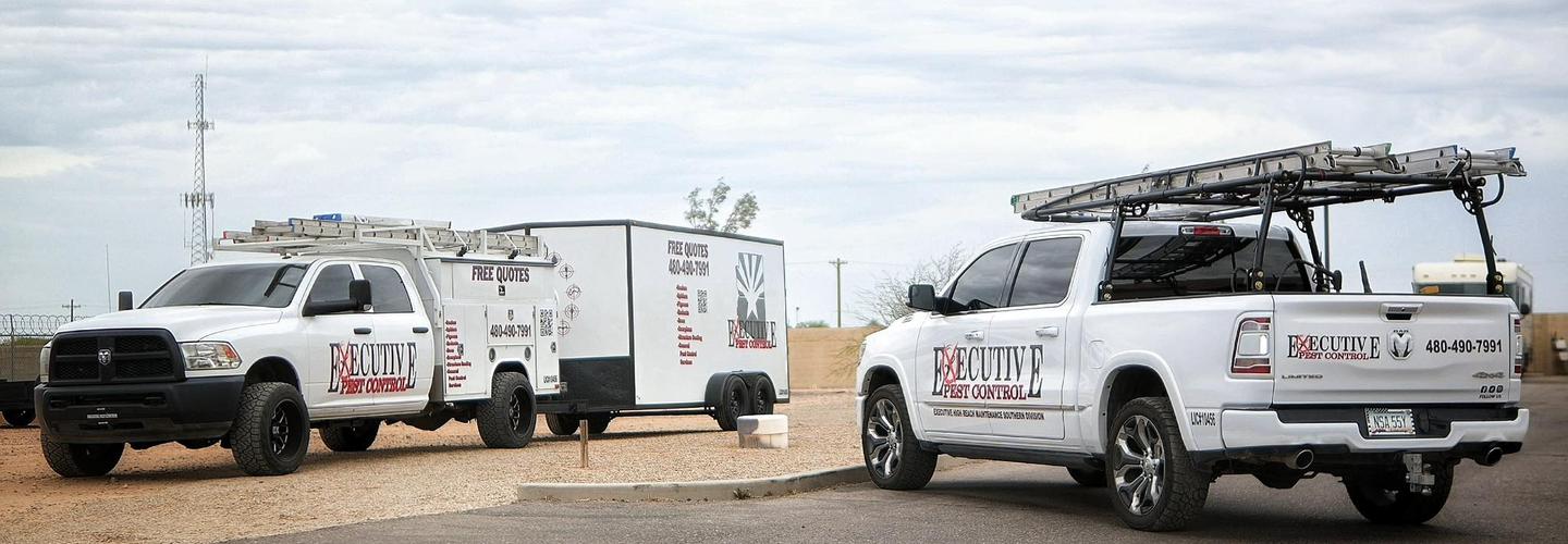 Executive Pest Solutions cover photo