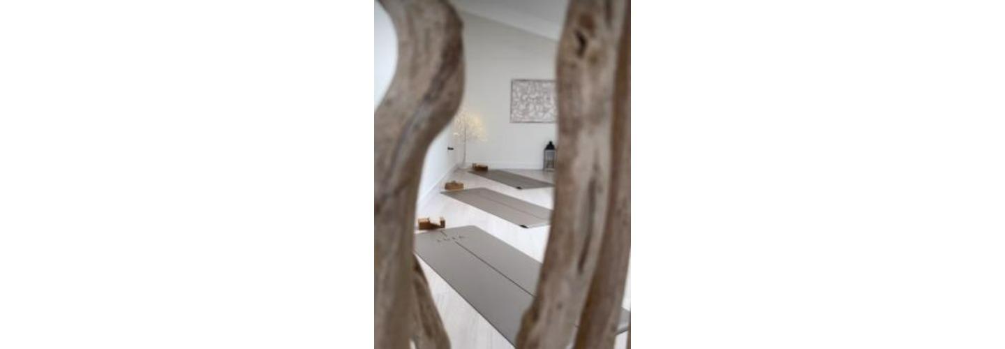 The Yoga Collaboration cover photo