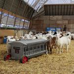 Paragon Farm, LLC - photo 2