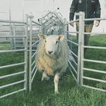 Paragon Farm, LLC - photo 4