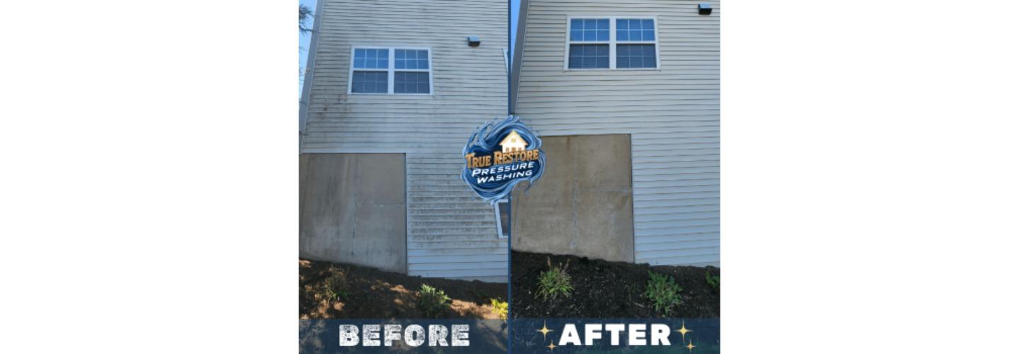 True Restore Pressure Washing cover photo