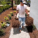 Pure Disposal - photo 1