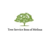 Tree Service Boss of Melissa - Business Financial Consultants in Melissa