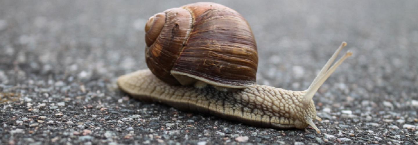 Words Have Impact cover photo