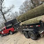 Andrew's All Around Tree & Shrub Service - photo 1