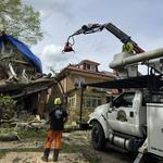 Andrew's All Around Tree & Shrub Service - photo 4