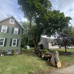 Andrew's All Around Tree & Shrub Service - photo 7