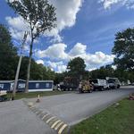 Andrew's All Around Tree & Shrub Service - photo 8